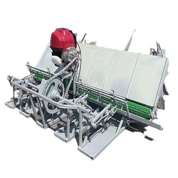 Rice transplanter